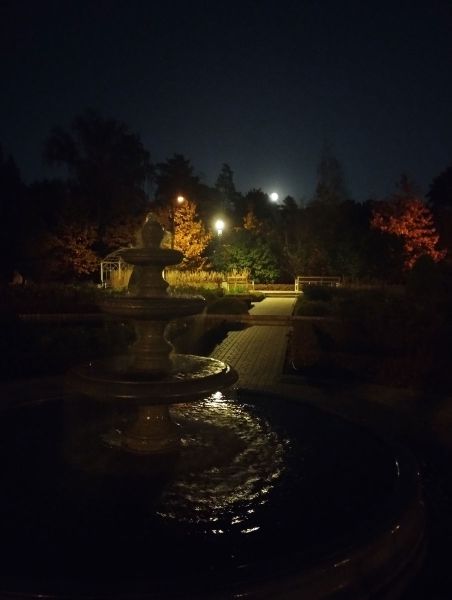 Фотография фонтана в парке «Сокольники» (лето, 2023)