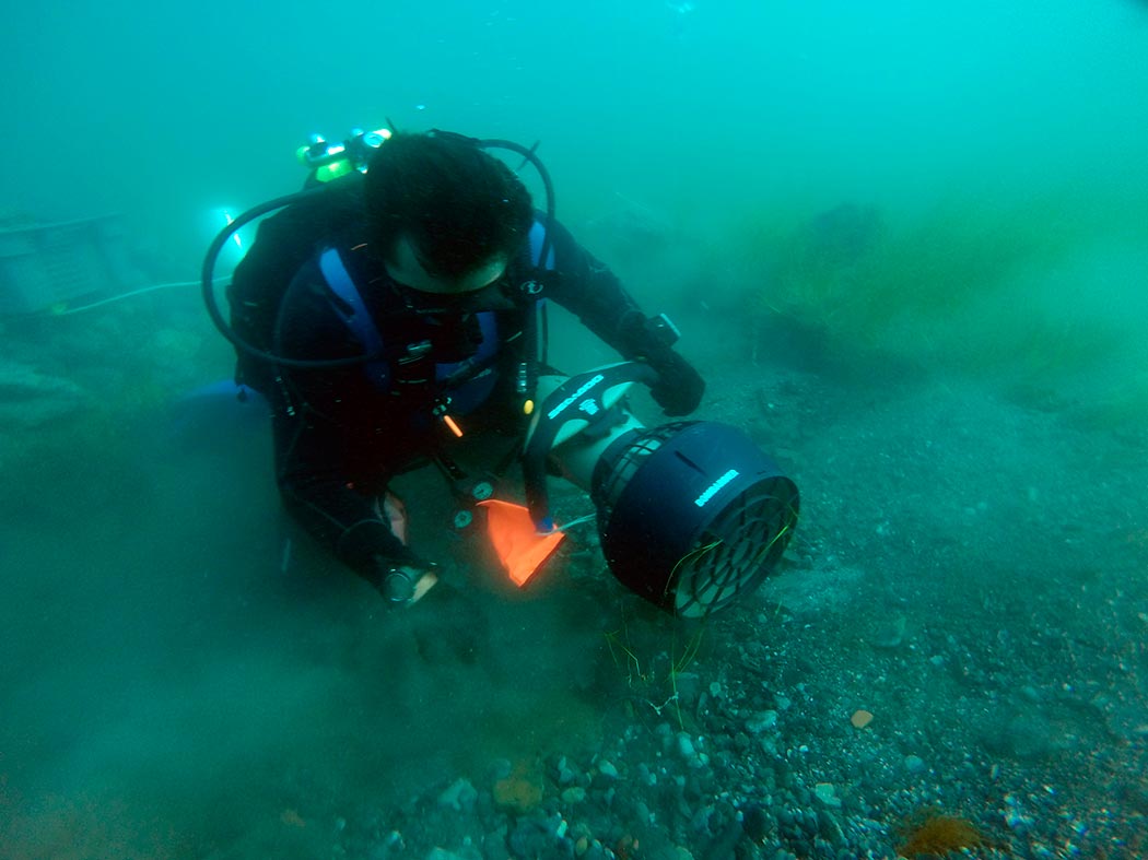 Underwater and archaeological mission in the waters of the Crimean Peninsula