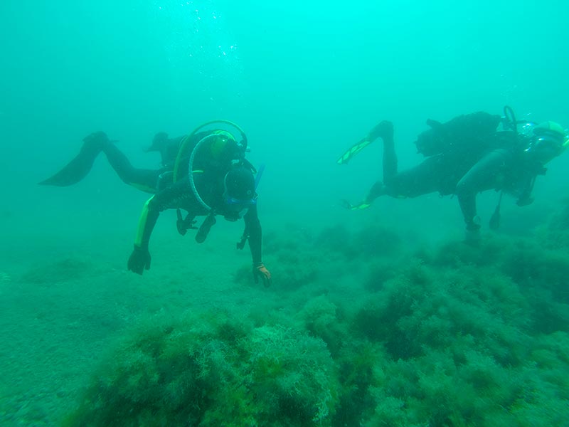В районе внешнего рейда Севастополя, на дне моря археологи обнаружили подводные лодки императорского флота