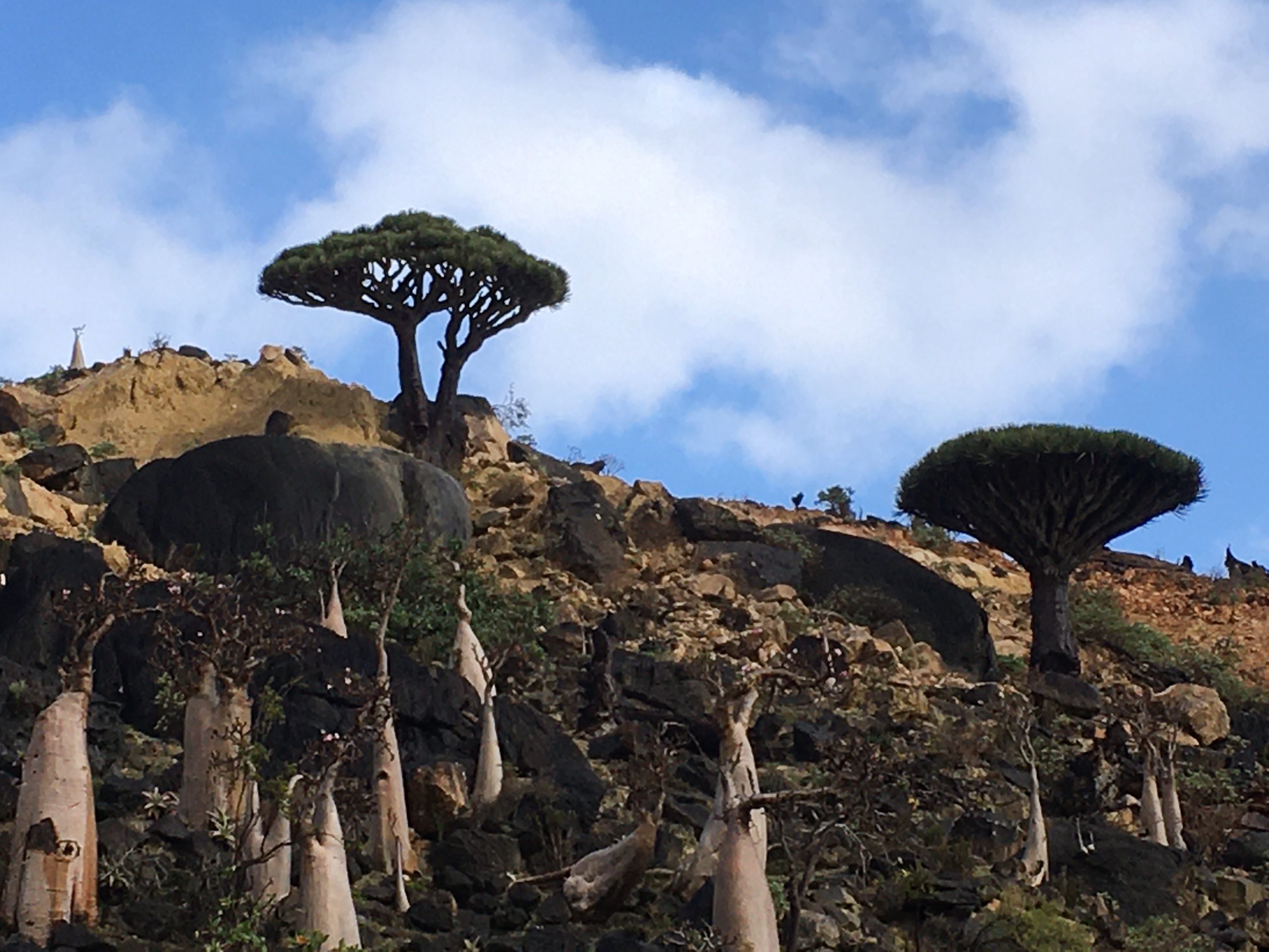 Folklore-Linguistic Expedition to Socotra Island
